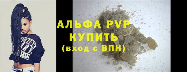 дживик Бородино