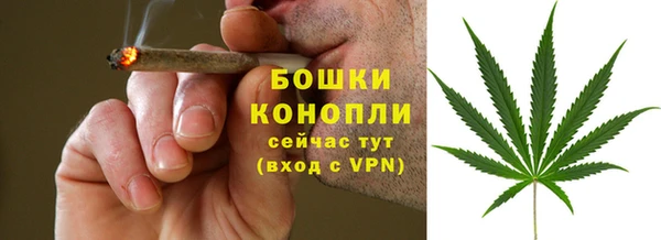 дживик Бородино