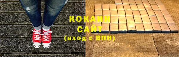 дживик Бородино