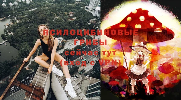 стафф Бронницы