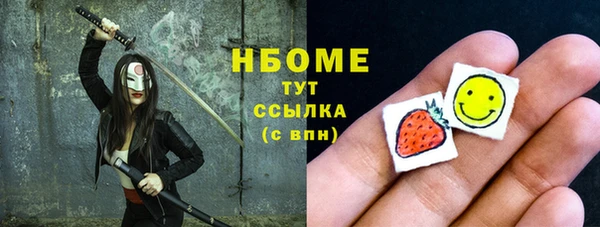 дживик Бородино