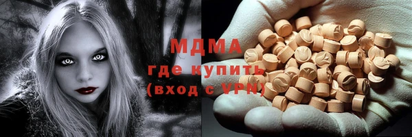 дживик Бородино