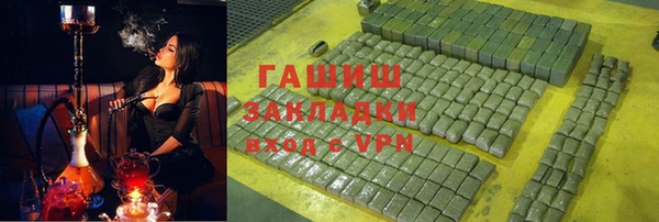 дживик Бородино