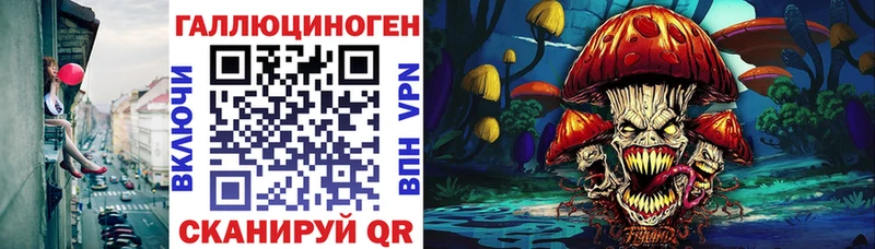 Галлюциногенные грибы GOLDEN TEACHER  купить закладку  Сретенск 
